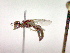  ( - CCDB-12232-B01)  @13 [ ] Copyright  G. Blagoev 2010 Unspecified