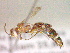  ( - CCDB-12232-B04)  @13 [ ] Copyright  G. Blagoev 2010 Unspecified