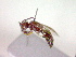  ( - CCDB-12232-B05)  @12 [ ] Copyright  G. Blagoev 2010 Unspecified