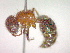  ( - CCDB-12232-B11)  @13 [ ] Copyright  G. Blagoev 2010 Unspecified