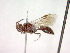  ( - CCDB-12232-C01)  @13 [ ] Copyright  G. Blagoev 2010 Unspecified
