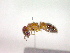  ( - CCDB-12232-C09)  @13 [ ] Copyright  G. Blagoev 2010 Unspecified