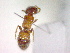  ( - CCDB-12232-E09)  @13 [ ] Copyright  G. Blagoev 2010 Unspecified