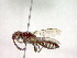  ( - CCDB-12232-F02)  @12 [ ] Copyright  G. Blagoev 2010 Unspecified