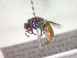  ( - CCDB-12232-F09)  @13 [ ] Copyright  G. Blagoev 2010 Unspecified