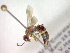  ( - CCDB-12232-F12)  @13 [ ] Copyright  G. Blagoev 2010 Unspecified