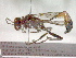  ( - CCDB-12232-G01)  @13 [ ] Copyright  G. Blagoev 2010 Unspecified