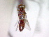  ( - CCDB-12232-G08)  @12 [ ] Copyright  G. Blagoev 2010 Unspecified