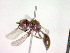  ( - CCDB-12232-H05)  @13 [ ] Copyright  G. Blagoev 2010 Unspecified
