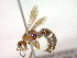 ( - CCDB-12232-H08)  @13 [ ] Copyright  G. Blagoev 2010 Unspecified