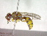  ( - CCDB-12233-A11)  @13 [ ] Copyright  G. Blagoev 2010 Unspecified