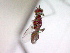  ( - CCDB-12233-B12)  @12 [ ] Copyright  G. Blagoev 2010 Unspecified