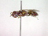  ( - CCDB-12233-E05)  @12 [ ] Copyright  G. Blagoev 2010 Unspecified