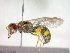  ( - CCDB-12233-E06)  @13 [ ] Copyright  G. Blagoev 2010 Unspecified
