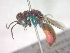  ( - CCDB-12233-F03)  @13 [ ] Copyright  G. Blagoev 2010 Unspecified