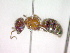  ( - CCDB-12233-F05)  @13 [ ] Copyright  G. Blagoev 2010 Unspecified