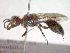  ( - CCDB-12233-F06)  @13 [ ] Copyright  G. Blagoev 2010 Unspecified