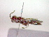  ( - CCDB-12233-F12)  @12 [ ] Copyright  G. Blagoev 2010 Unspecified