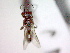  ( - CCDB-12233-G02)  @13 [ ] Copyright  G. Blagoev 2010 Unspecified