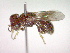  ( - CCDB-12233-G09)  @12 [ ] Copyright  G. Blagoev 2010 Unspecified