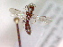  ( - CCDB-12233-H09)  @12 [ ] Copyright  G. Blagoev 2010 Unspecified