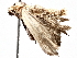  ( - BIOUG63997-A03)  @11 [ ] CreativeCommons - Attribution (2021) Centre for Biodiversity Genomics Centre for Biodiversity Genomics