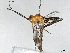  ( - BIOUG66600-D12)  @11 [ ] CreativeCommons - Attribution (2022) CBG Photography Group Centre for Biodiversity Genomics