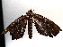  ( - BIOUG70346-C01)  @11 [ ] CreativeCommons - Attribution (2021) Centre for Biodiversity Genomics Centre for Biodiversity Genomics