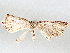  ( - BIOUG70346-E07)  @11 [ ] CreativeCommons - Attribution (2021) Centre for Biodiversity Genomics Centre for Biodiversity Genomics