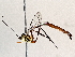  ( - BIOUG70346-G01)  @11 [ ] CreativeCommons - Attribution (2021) Centre for Biodiversity Genomics Centre for Biodiversity Genomics