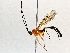  ( - BIOUG70346-G02)  @11 [ ] CreativeCommons - Attribution (2021) Centre for Biodiversity Genomics Centre for Biodiversity Genomics