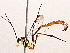  ( - BIOUG70346-H02)  @11 [ ] CreativeCommons - Attribution (2021) Centre for Biodiversity Genomics Centre for Biodiversity Genomics