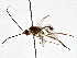  ( - BIOUG70347-A01)  @11 [ ] CreativeCommons - Attribution (2021) Centre for Biodiversity Genomics Centre for Biodiversity Genomics