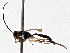  ( - BIOUG70347-A09)  @11 [ ] CreativeCommons - Attribution (2021) Centre for Biodiversity Genomics Centre for Biodiversity Genomics