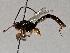  ( - BIOUG70347-B12)  @11 [ ] CreativeCommons - Attribution (2021) Centre for Biodiversity Genomics Centre for Biodiversity Genomics
