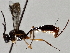  (tersiMalaise01 Malaise6173 - BIOUG70347-C11)  @11 [ ] CreativeCommons - Attribution (2021) Centre for Biodiversity Genomics Centre for Biodiversity Genomics