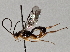  ( - BIOUG70347-C12)  @11 [ ] CreativeCommons - Attribution (2021) Centre for Biodiversity Genomics Centre for Biodiversity Genomics