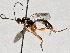  ( - BIOUG70347-D06)  @11 [ ] CreativeCommons - Attribution (2021) Centre for Biodiversity Genomics Centre for Biodiversity Genomics