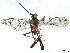  (cryptJanzen01 Malaise3041 - BIOUG70351-A10)  @15 [ ] CreativeCommons - Attribution (2022) CBG Photography Group Centre for Biodiversity Genomics