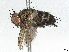  ( - BIOUG70354-G05)  @11 [ ] CreativeCommons - Attribution (2022) CBG Photography Group Centre for Biodiversity Genomics