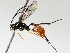  ( - BIOUG71233-B07)  @11 [ ] CreativeCommons - Attribution (2021) Centre for Biodiversity Genomics Centre for Biodiversity Genomics