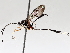  ( - BIOUG71233-C07)  @13 [ ] CreativeCommons - Attribution (2021) Centre for Biodiversity Genomics Centre for Biodiversity Genomics