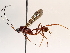  ( - BIOUG71233-D01)  @11 [ ] CreativeCommons - Attribution (2021) Centre for Biodiversity Genomics Centre for Biodiversity Genomics