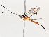  ( - BIOUG71233-H08)  @11 [ ] CreativeCommons - Attribution (2021) Centre for Biodiversity Genomics Centre for Biodiversity Genomics