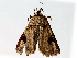  ( - BIOUG71234-A10)  @11 [ ] CreativeCommons - Attribution (2021) Centre for Biodiversity Genomics Centre for Biodiversity Genomics