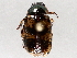  ( - BIOUG71234-D08)  @11 [ ] CreativeCommons - Attribution (2021) Centre for Biodiversity Genomics Centre for Biodiversity Genomics