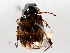  ( - BIOUG71234-F09)  @11 [ ] CreativeCommons - Attribution (2021) Centre for Biodiversity Genomics Centre for Biodiversity Genomics