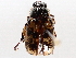  ( - BIOUG71234-G08)  @11 [ ] CreativeCommons - Attribution (2021) Centre for Biodiversity Genomics Centre for Biodiversity Genomics