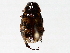  ( - BIOUG71235-A09)  @11 [ ] CreativeCommons - Attribution (2021) Centre for Biodiversity Genomics Centre for Biodiversity Genomics