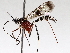  ( - BIOUG71236-C03)  @11 [ ] CreativeCommons - Attribution (2021) Centre for Biodiversity Genomics Centre for Biodiversity Genomics